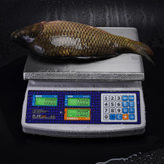 Trading table scales M-ER 329 AC-15.2 IP68 "Fisher" LCD